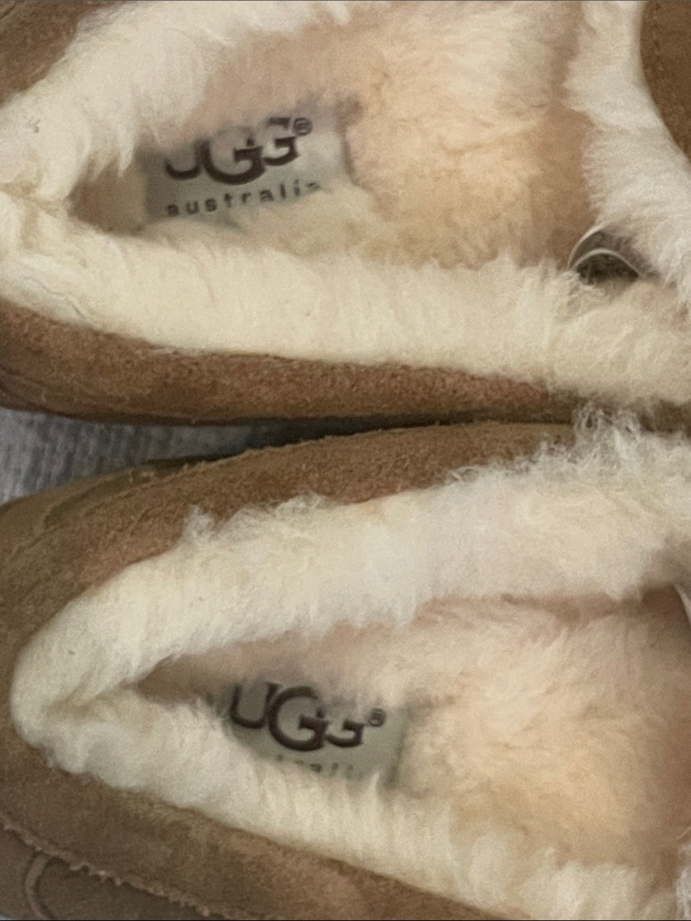 UGG Ascot Youth Size 4 Slippers - Picture 5 of 10